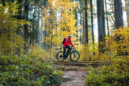 Gorsko kolesarjenje, Jošt Gantar